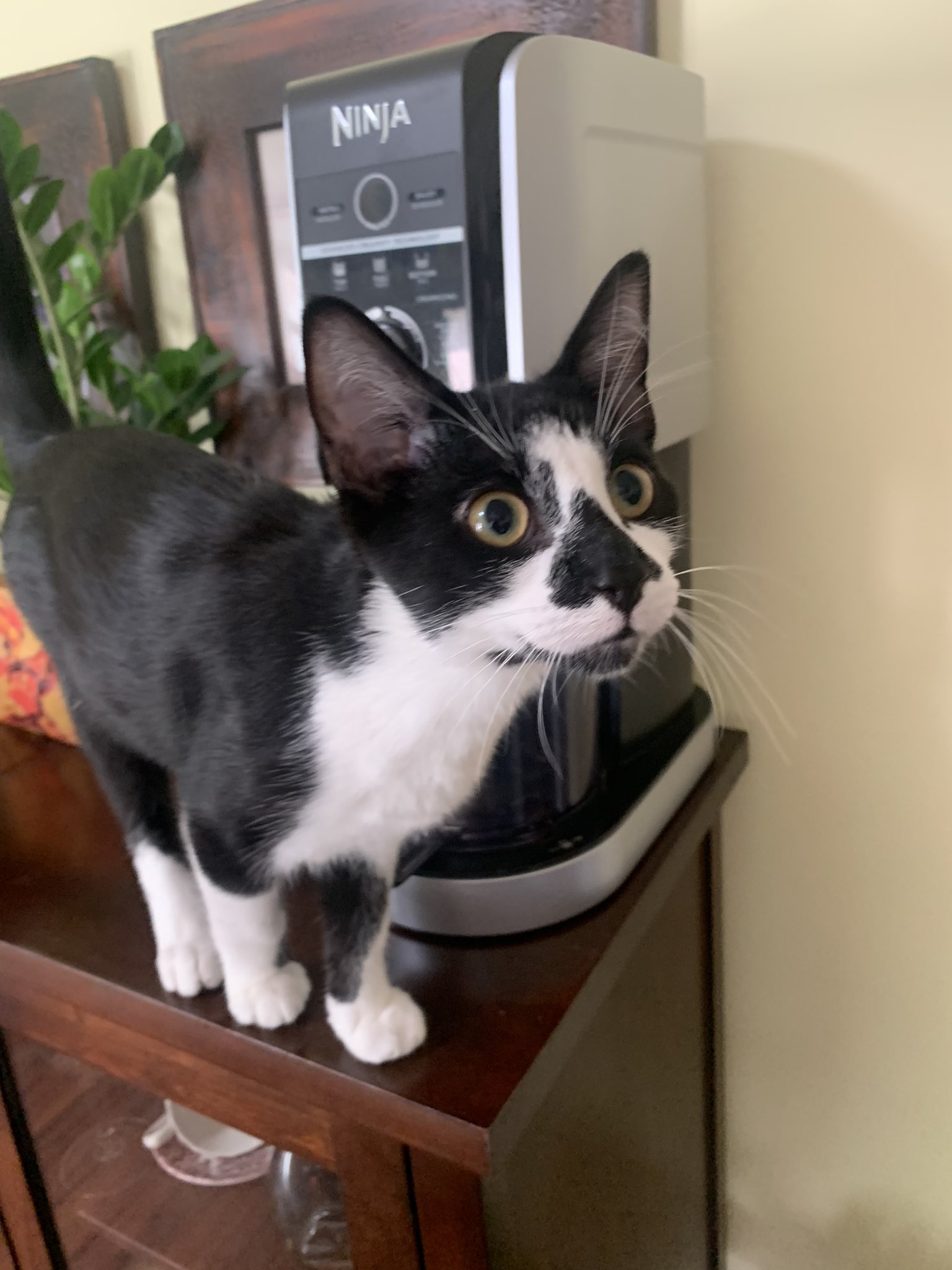 Community foto – The Smore Gallerij