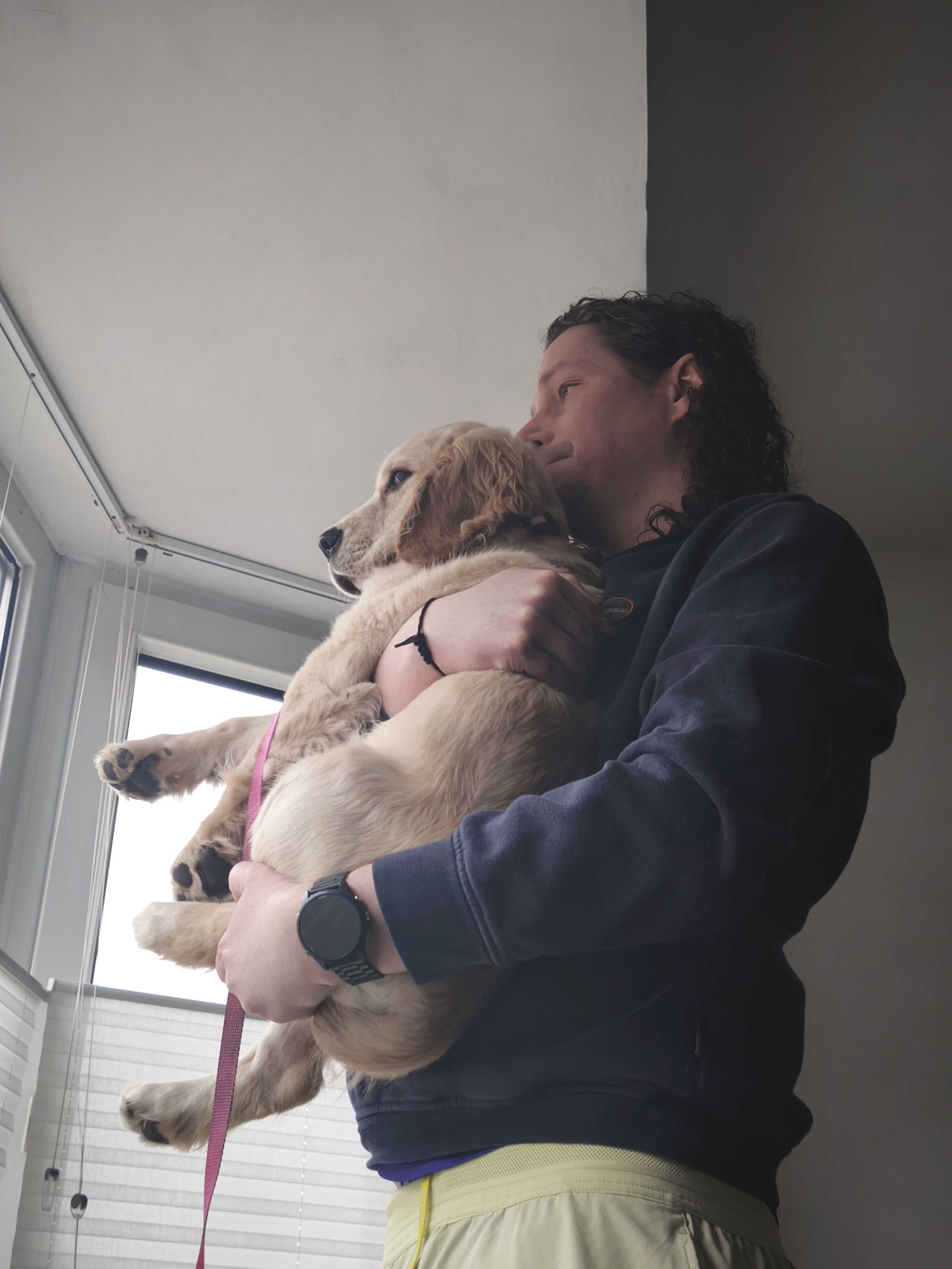 Een Moment van Magie: De Foto van de Dag