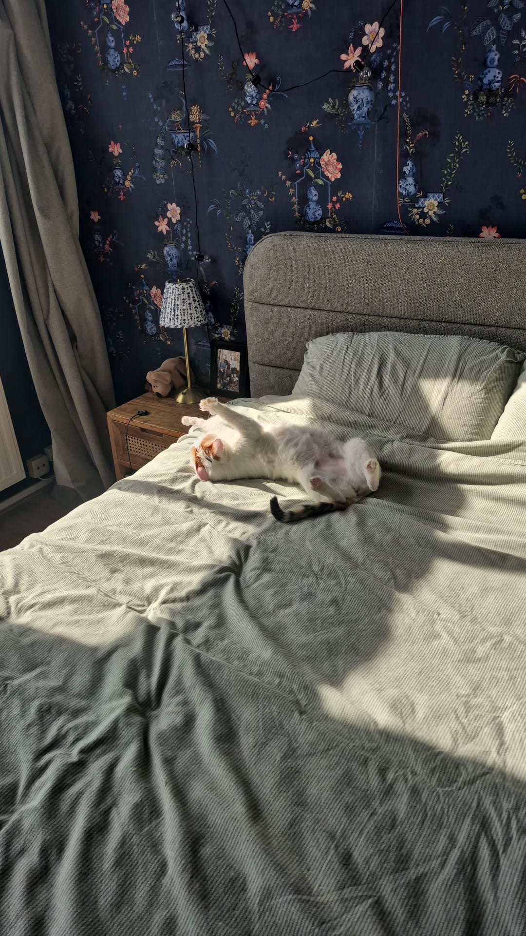 Katten Zen in Slaapkamer Chique