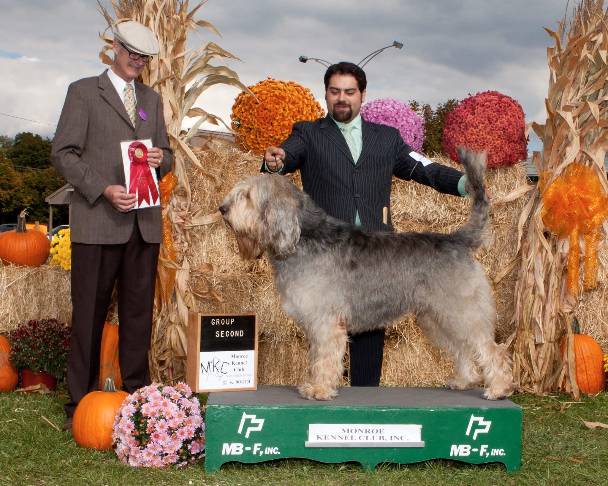 Pompoenen en Prijzen