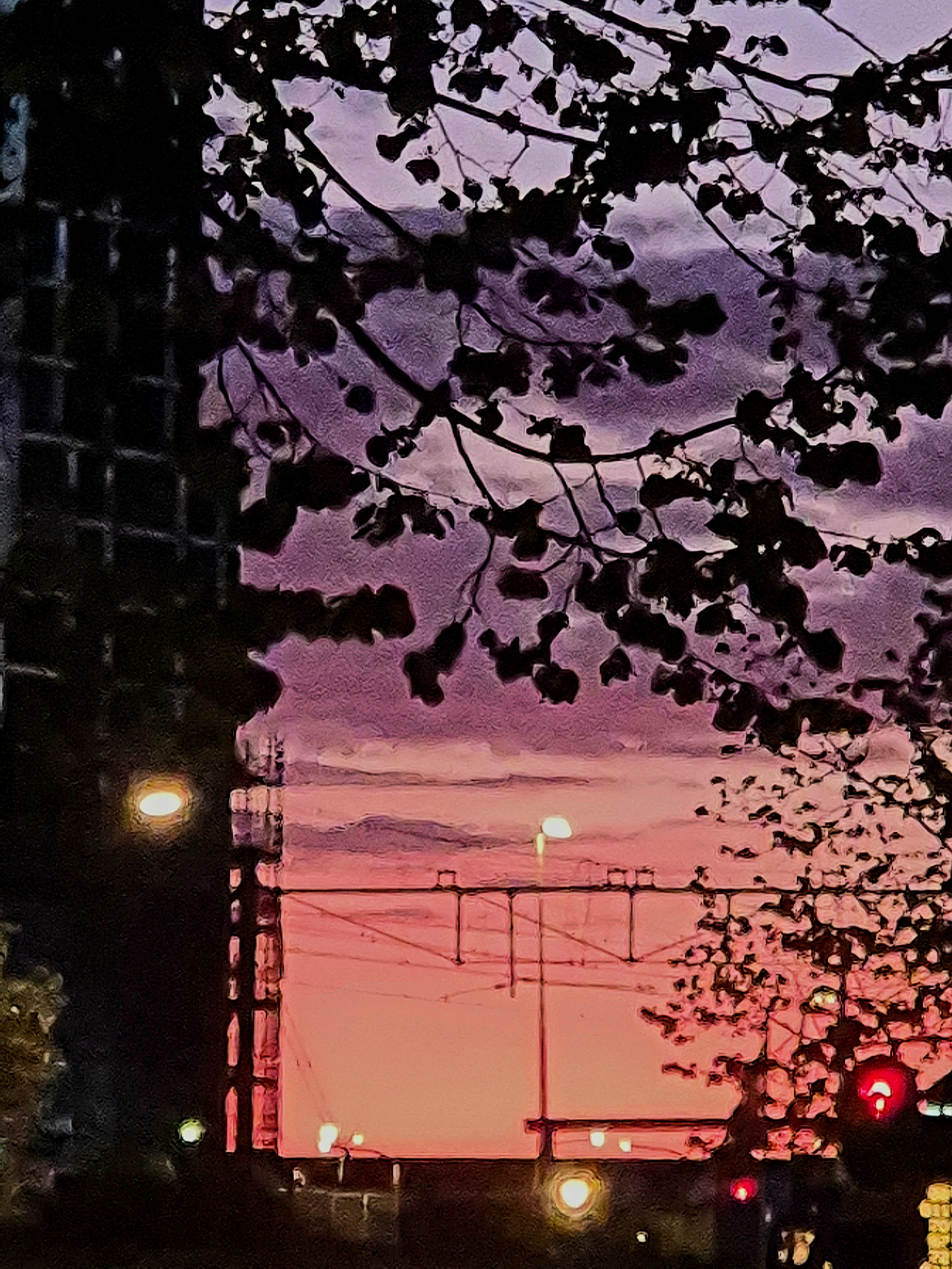 Een Stadse Schemering