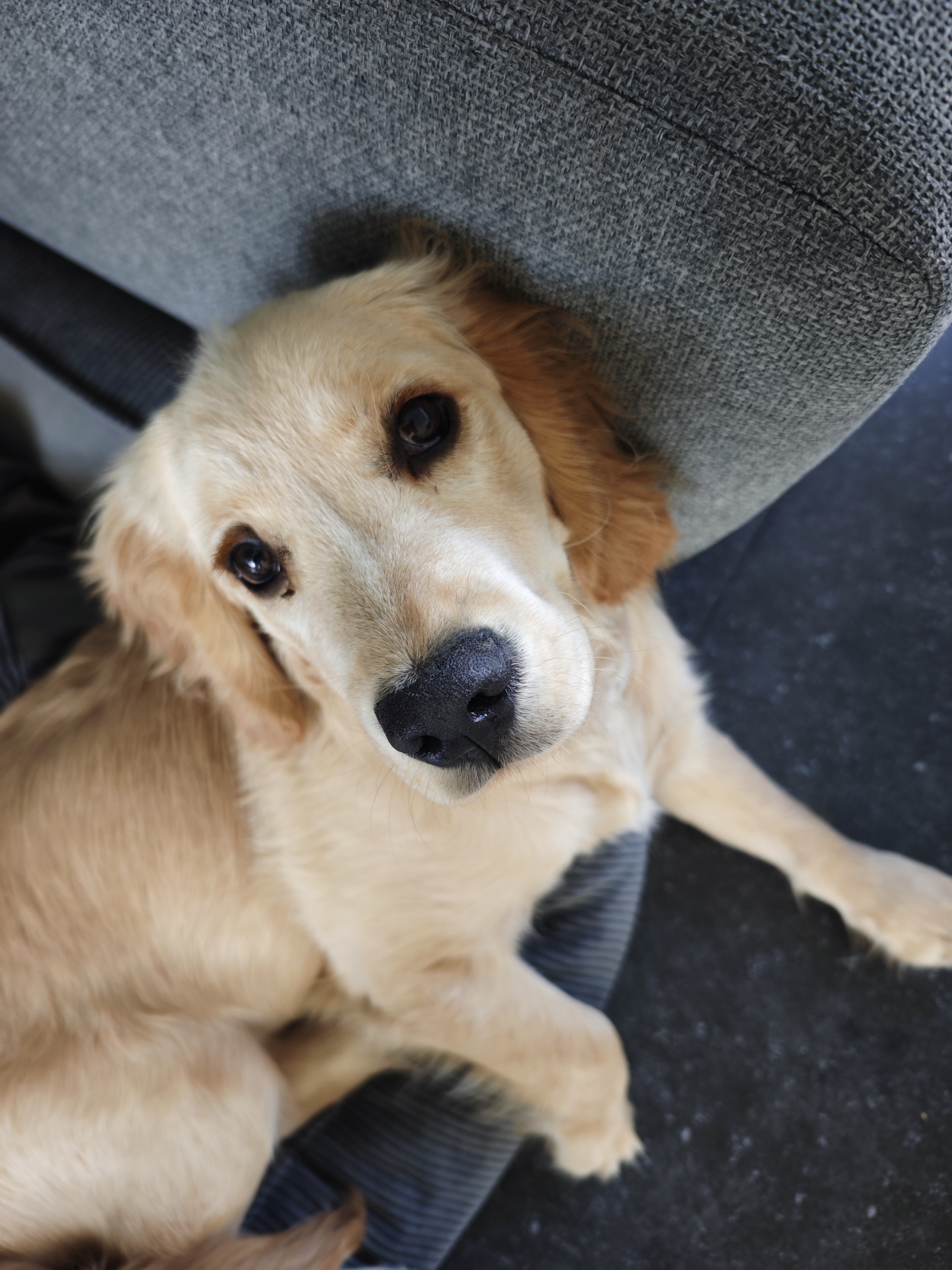 De Kroon van de Bank