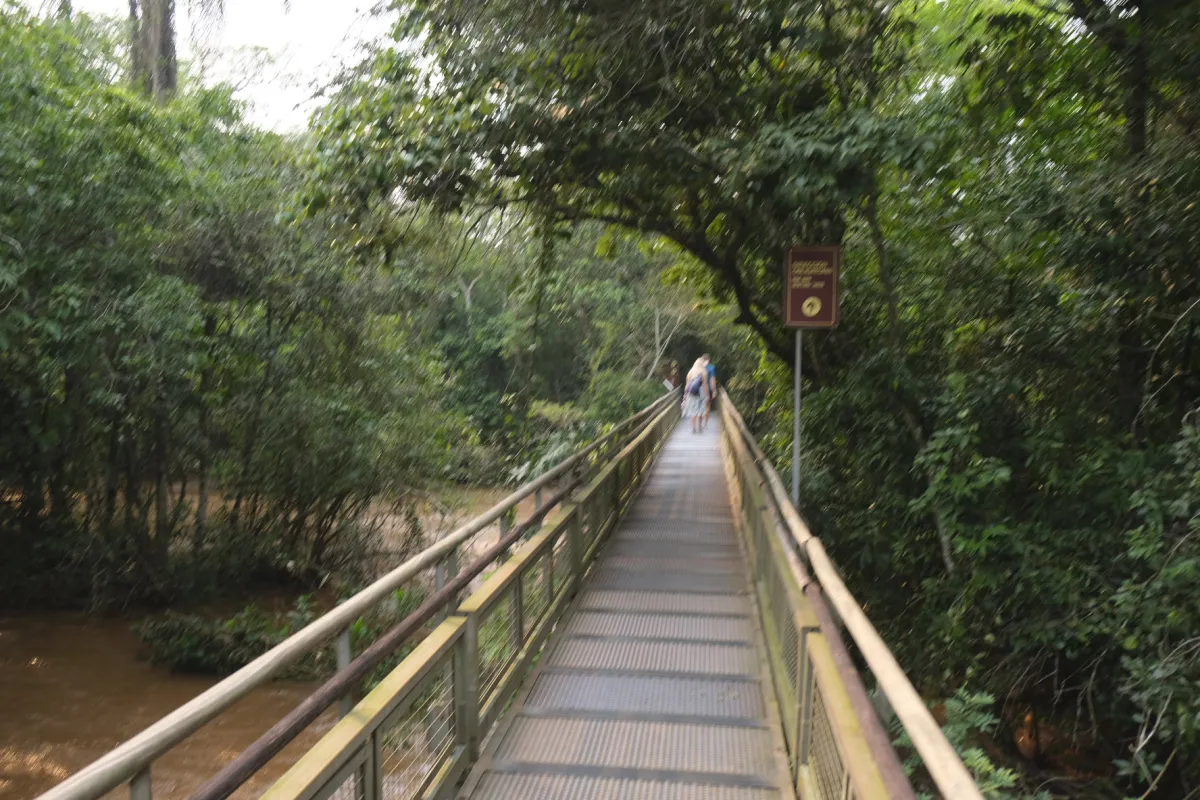 Wazige Wandeling