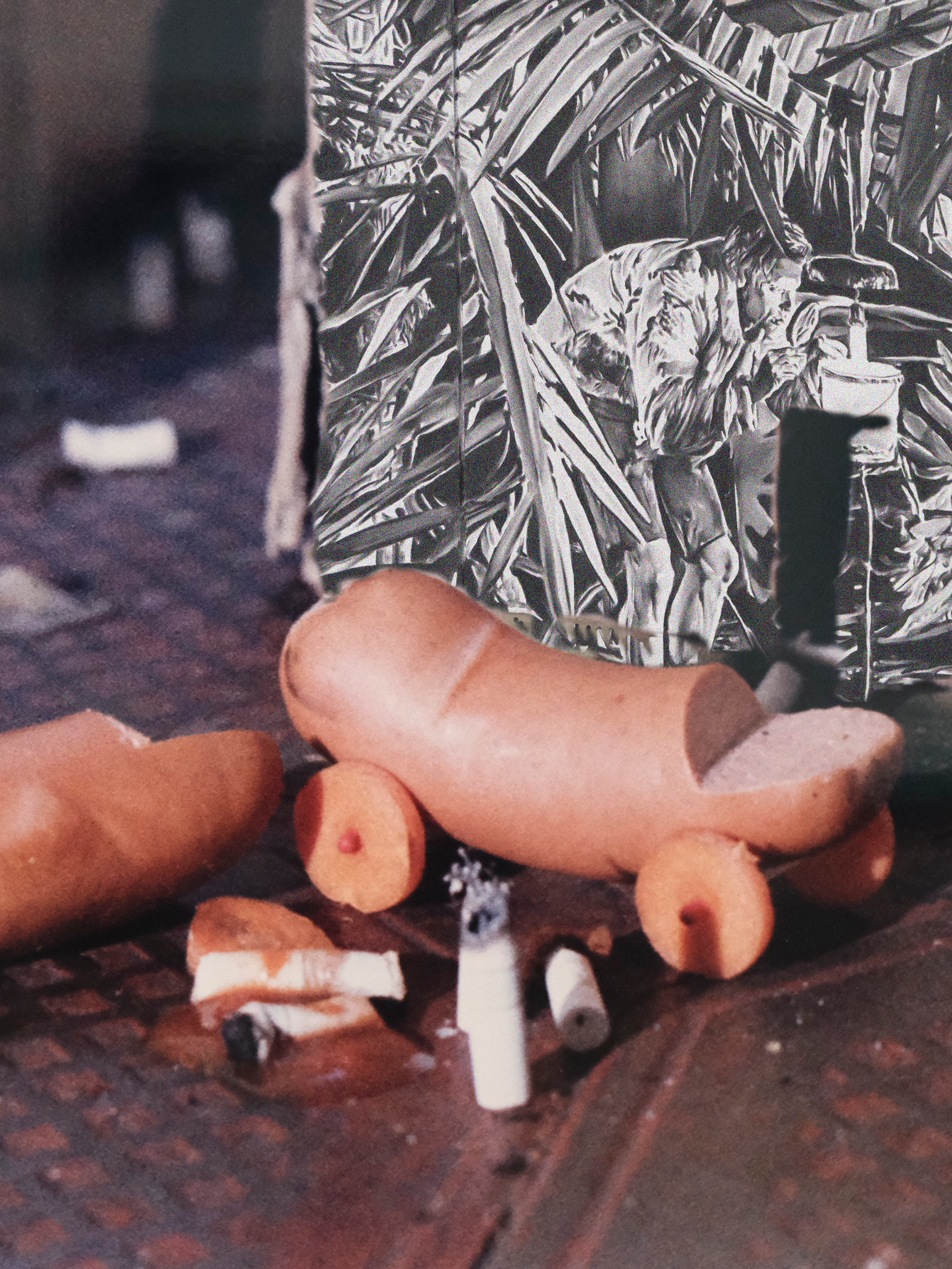 Hotdog Wheels with Jungle Backdrop