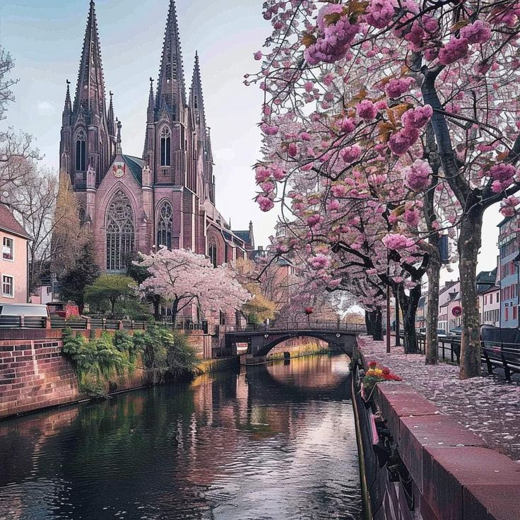 Bloeiende Kathedraal