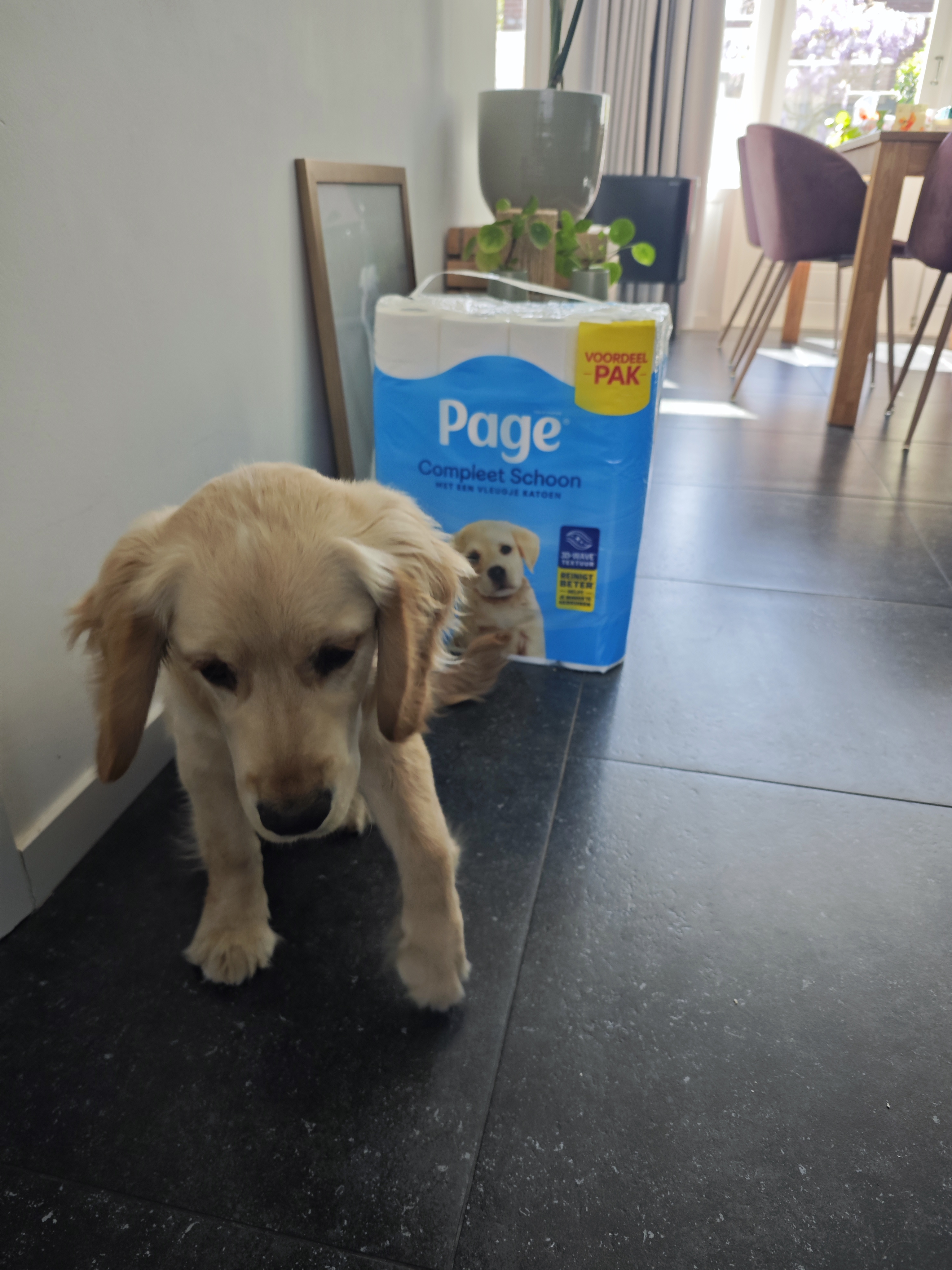 AI Fotografie: Voorbij Puppyogen naar Meesterlijke Beelden