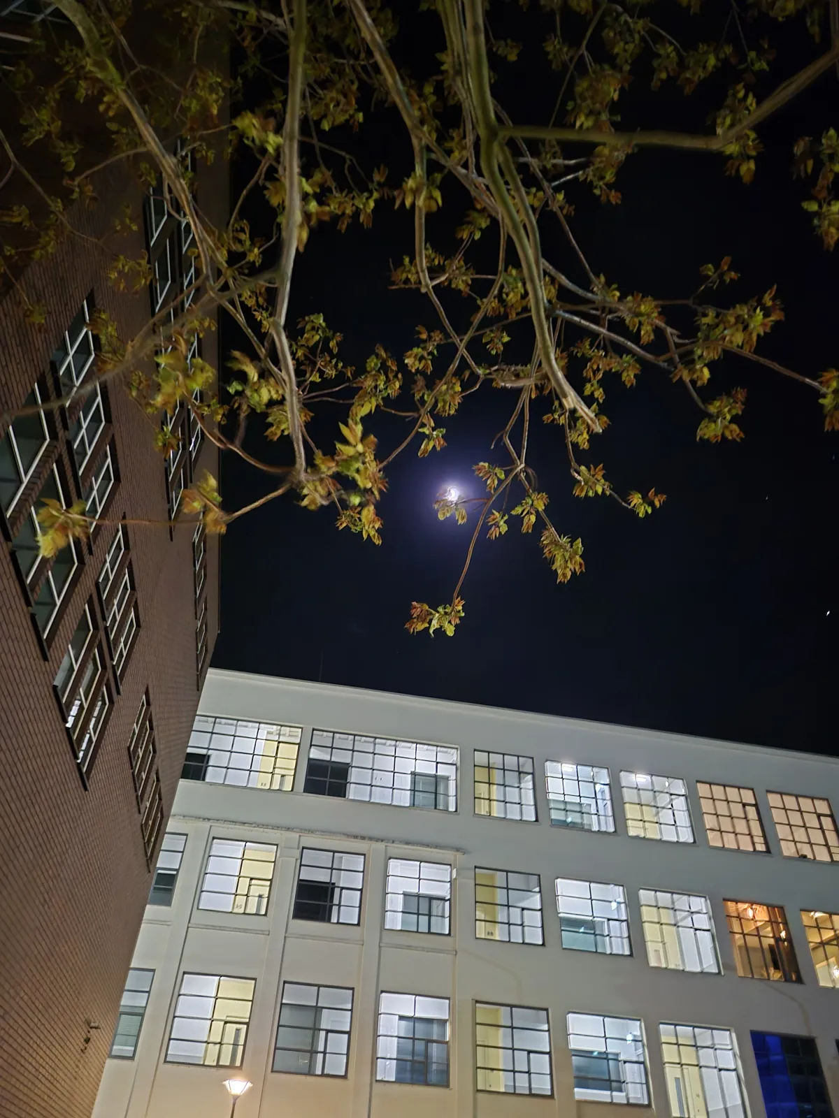 Takken en Gebouwen bij Nacht