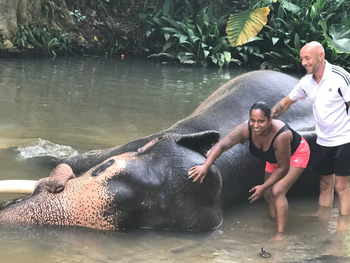 Elephant in the river