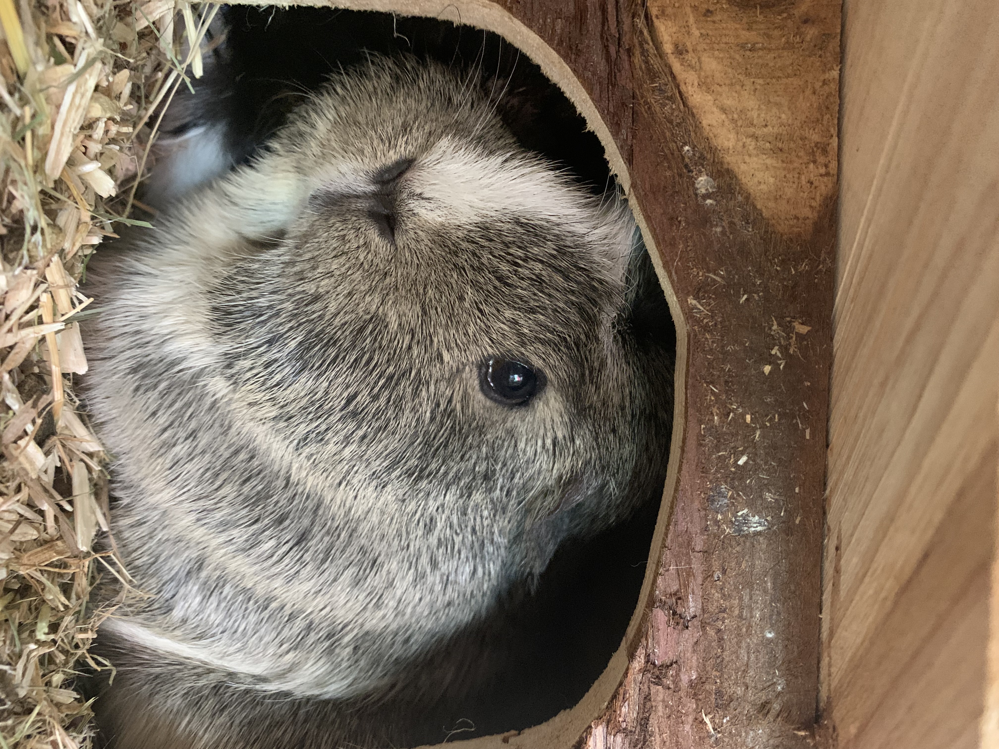 Community foto – The Smore Gallerij