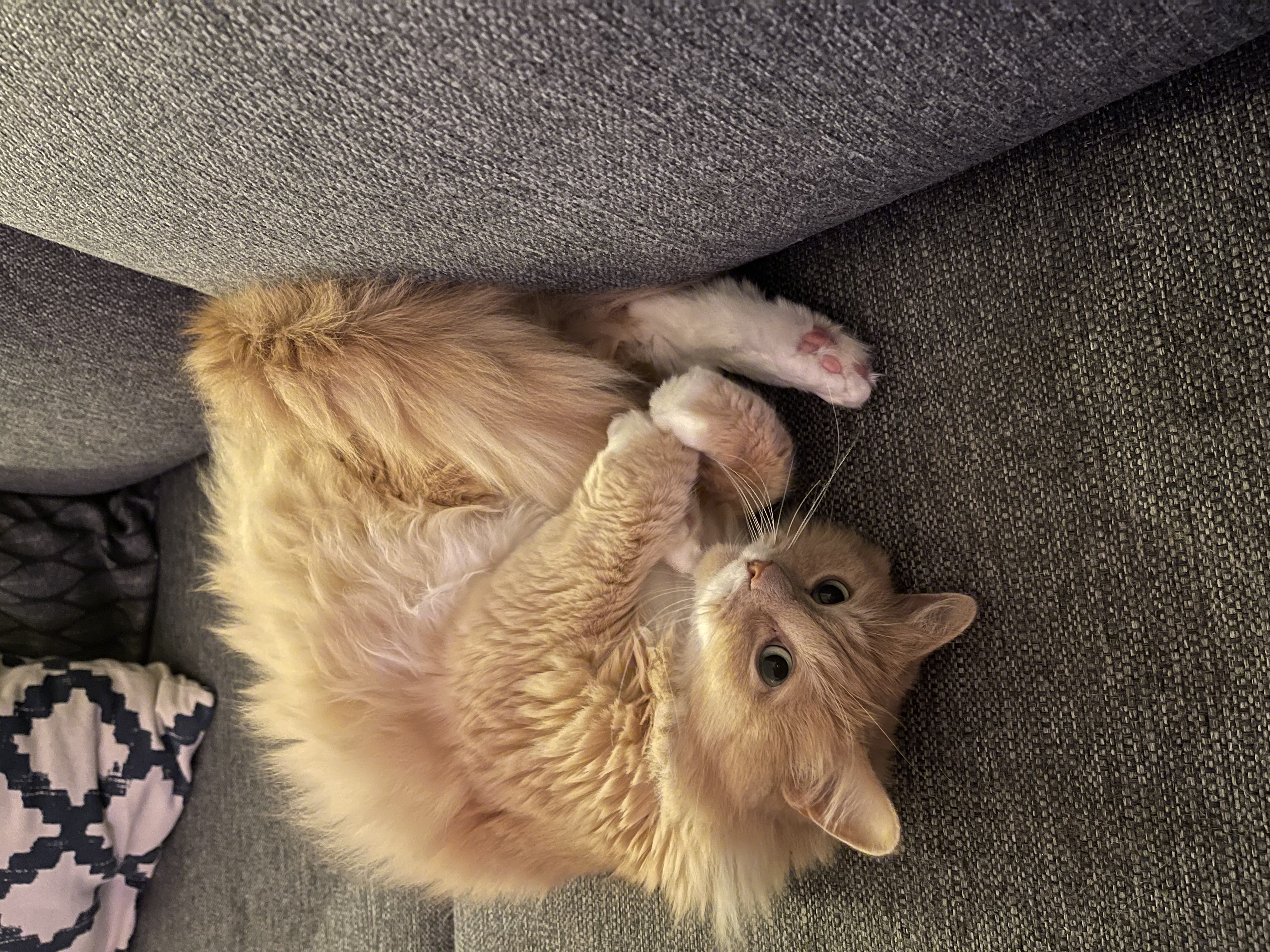 Community photo – The Smore Gallery