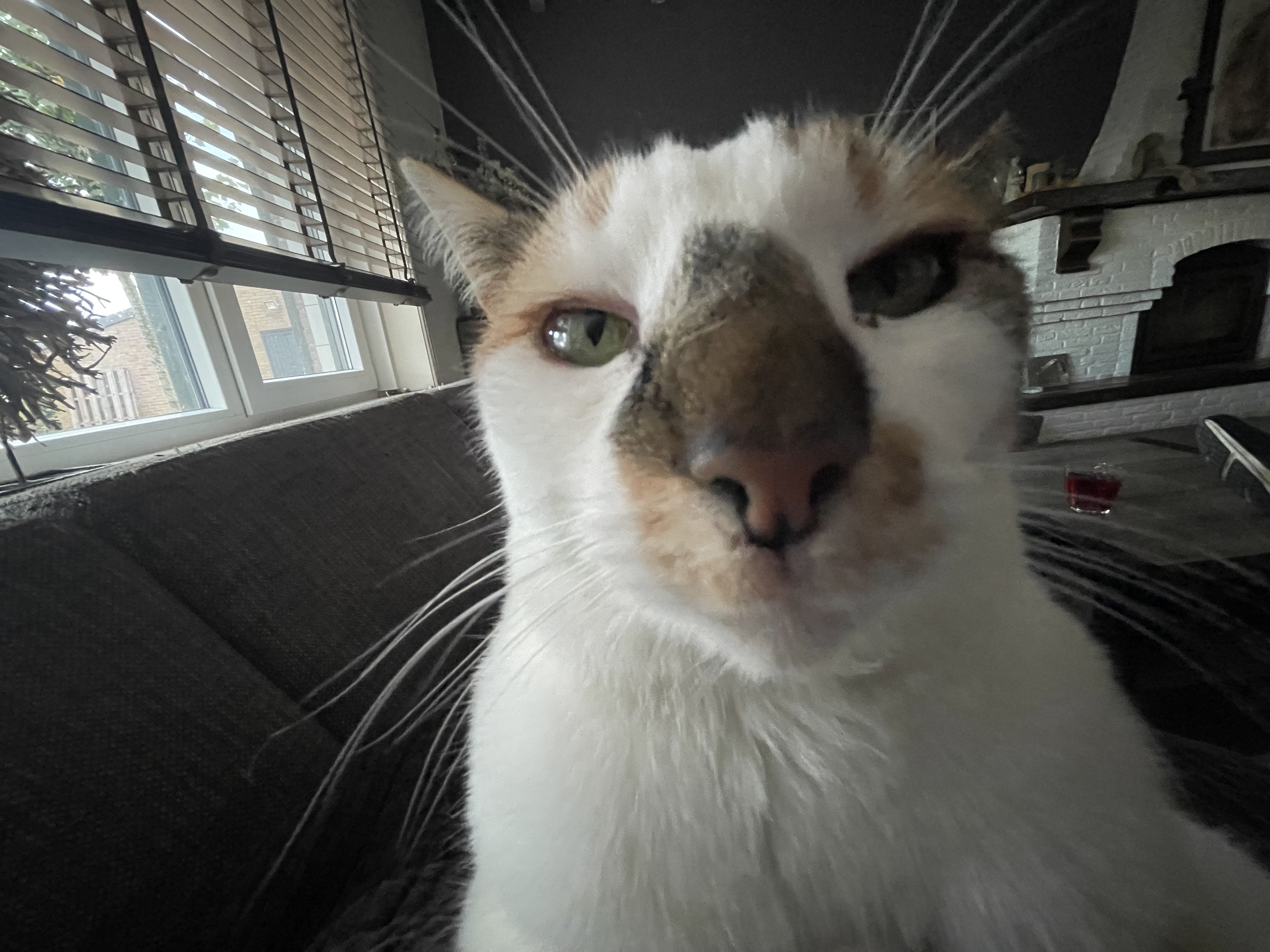 Community foto – The Smore Gallerij